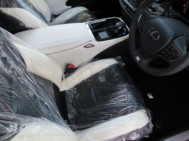 Lexus LS 2023-09 193691-20