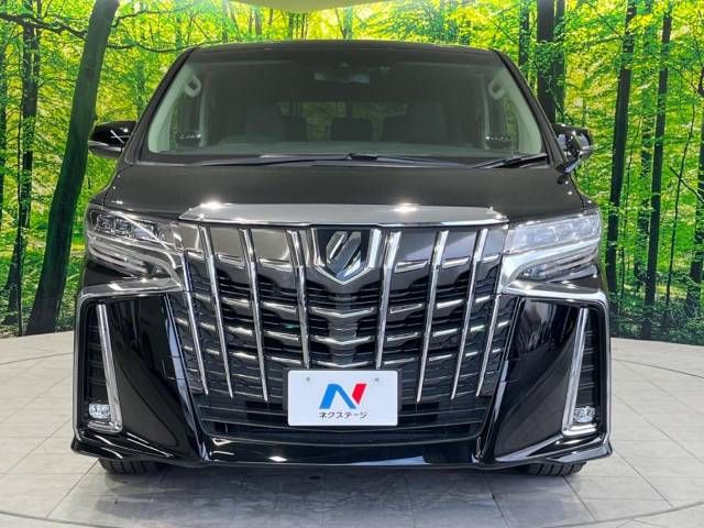 Toyota ALPHARD 2020-02 188319-15