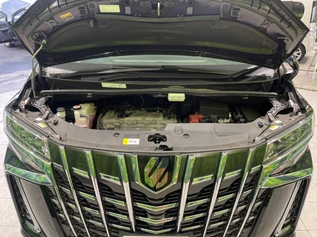 Toyota ALPHARD 2020-02 188319-19