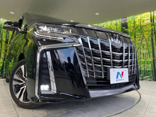 Toyota ALPHARD 2020-02 188319-13