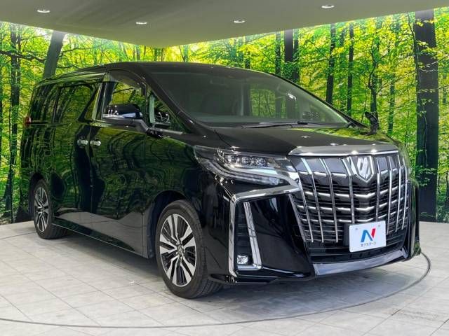 Toyota ALPHARD 2020-02 188319-17