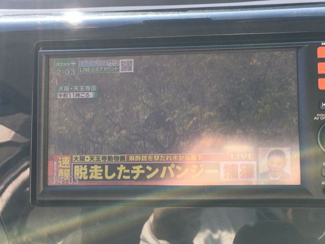 Nissan DAYZ 2015-08 9567-16