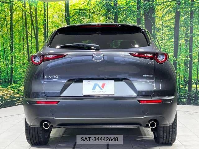 Mazda CX-30 2020-03 234433-15