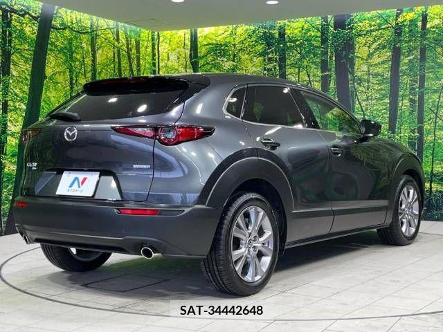 Mazda CX-30 2020-03 234433-17