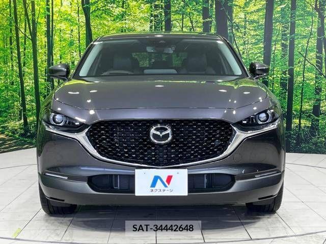 Mazda CX-30 2020-03 234433-14