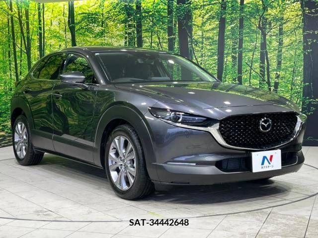 Mazda CX-30 2020-03 234433-16