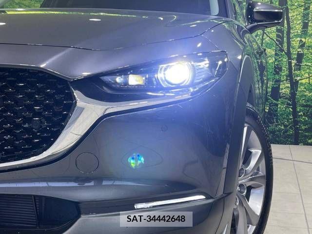 Mazda CX-30 2020-03 234433-12