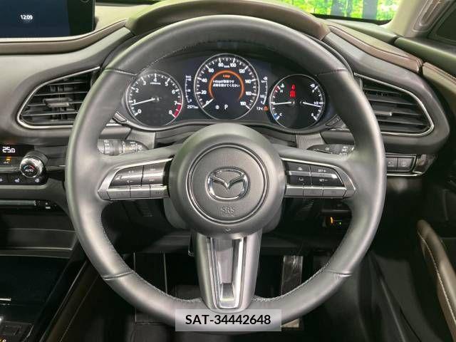 Mazda CX-30 2020-03 234433-11