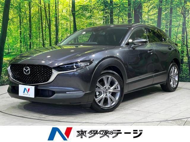 Mazda CX-30 2020-03 234433-0