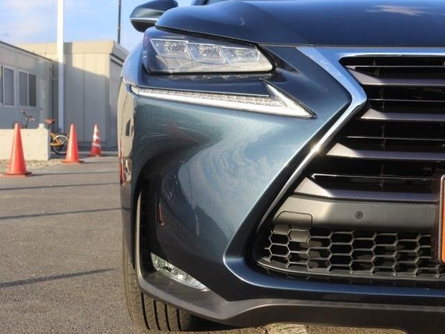 Lexus NX 2014-12 8777-4