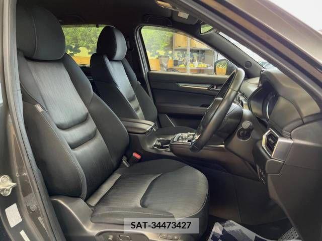 Mazda CX-8 2019-07 233557-8