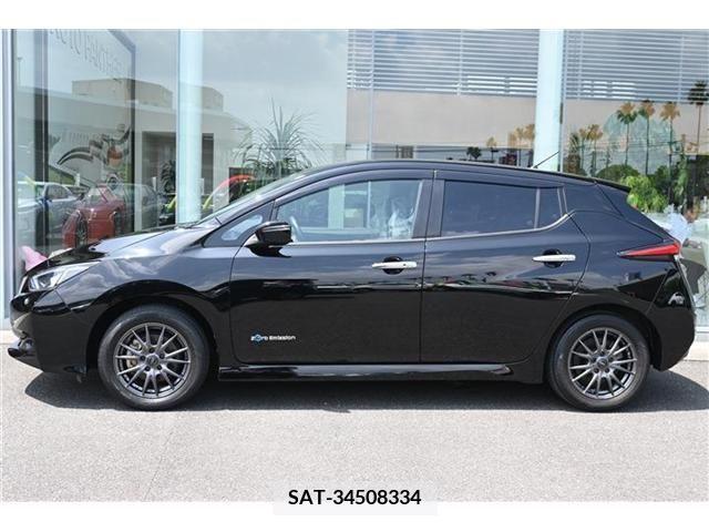 Nissan LEAF 2018-03 386783-1