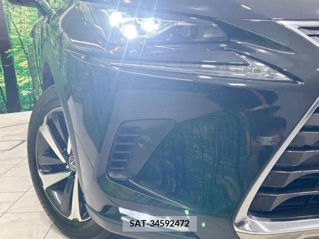 Lexus NX 2021-05 275685-12