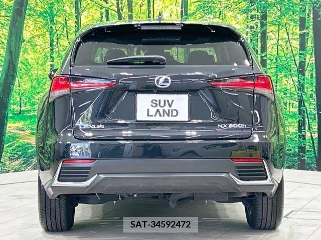 Lexus NX 2021-05 275685-15