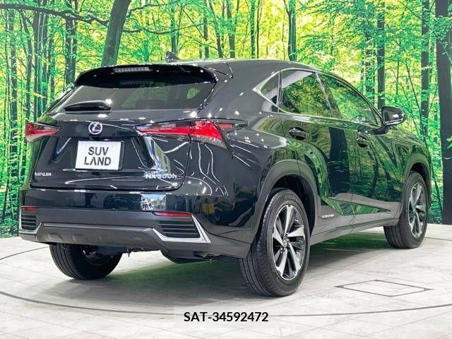 Lexus NX 2021-05 275685-17