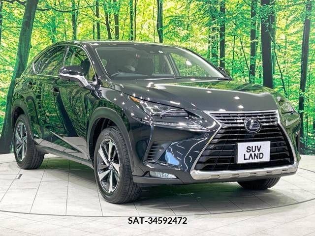 Lexus NX 2021-05 275685-16