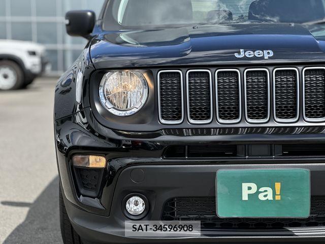 Jeep RENEGADE 2023-06 273330-20