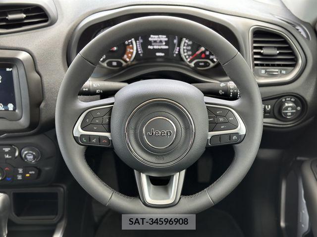Jeep RENEGADE 2023-06 273330-9