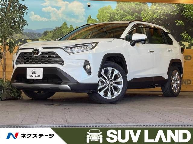 Toyota RAV4 2020-02 6021-0