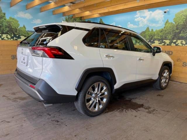 Toyota RAV4 2020-02 6021-18