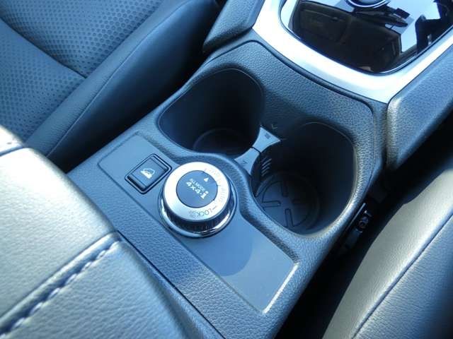 Nissan X-TRAIL 2017-01 182699-18