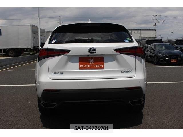 Lexus NX 2017-10 276006-8