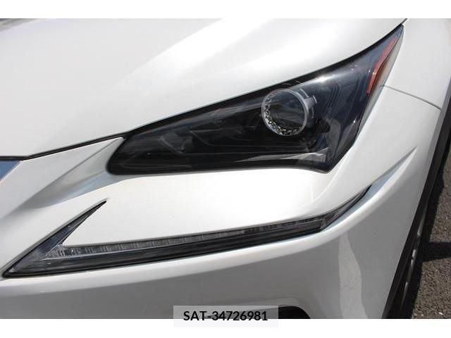 Lexus NX 2017-10 276006-11