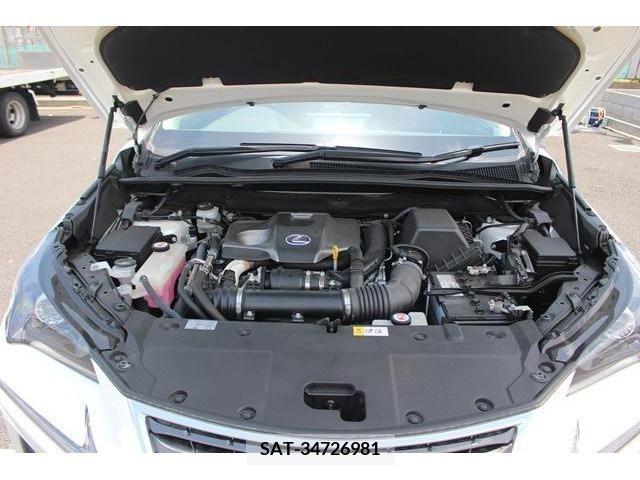 Lexus NX 2017-10 276006-18