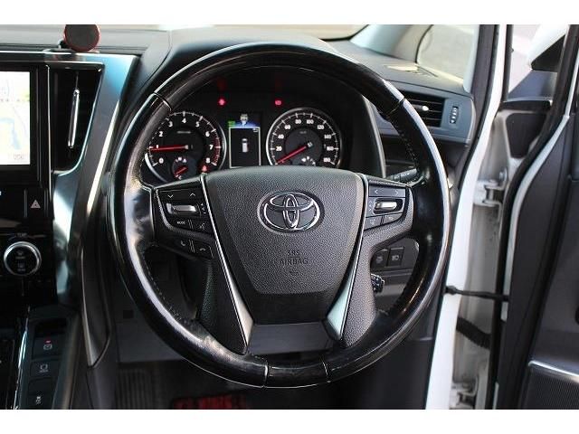 Toyota ALPHARD 2017-02 196348-15