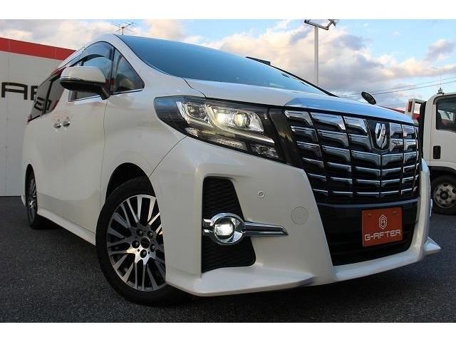 Toyota ALPHARD 2017-02 196348-10