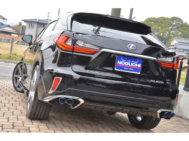 Lexus RX 2017-01 1366-19