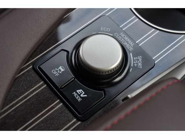 Lexus RX 2017-01 1366-12