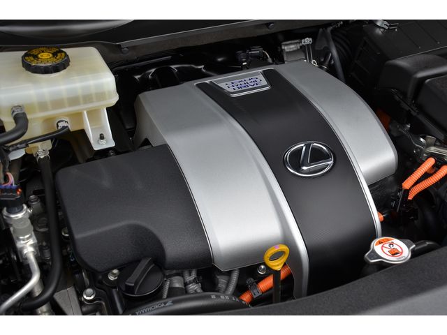 Lexus RX 2017-01 1366-22