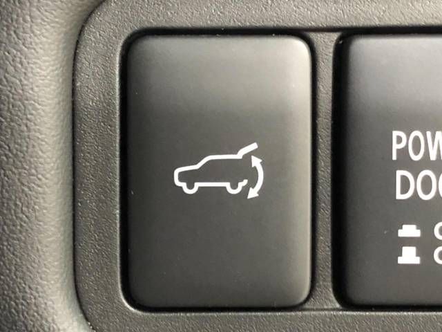 Mitsubishi DELICA D5 2019-06 17962-6