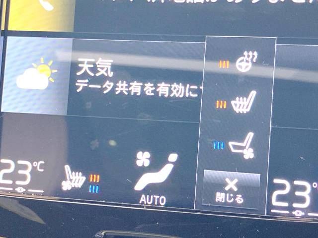 Volvo CROSS COUNTRY 2019-12 10378-6