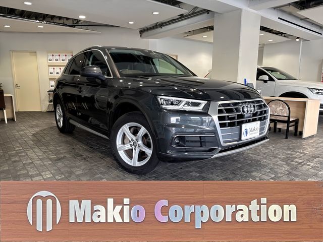 Audi Q5 2019-03 192011-0