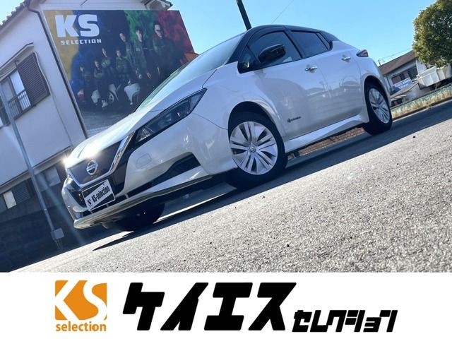 Nissan LEAF 2018-01 182246-0