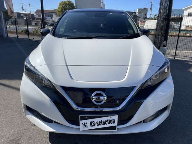Nissan LEAF 2018-01 182246-2