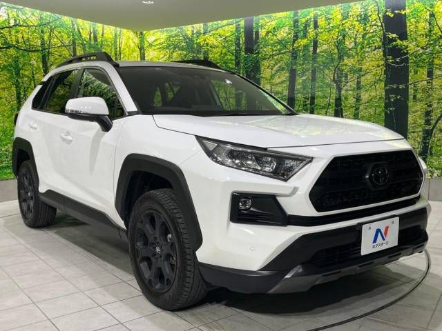 Toyota RAV4 2022-06 17209-16