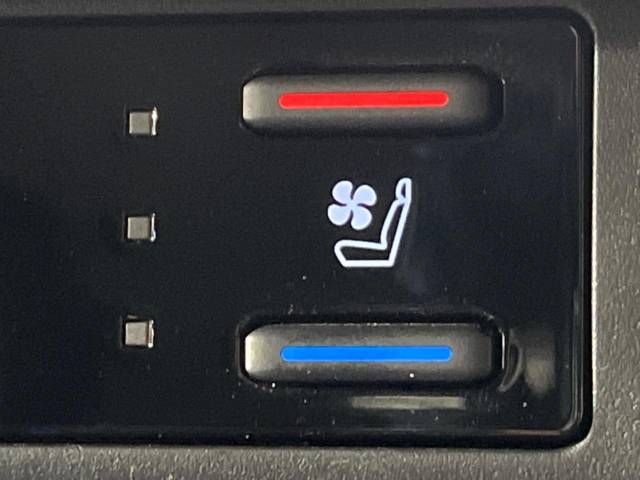 Toyota RAV4 2022-06 17209-6