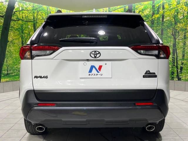 Toyota RAV4 2022-06 17209-15