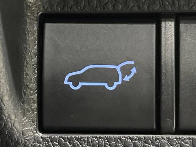 Toyota RAV4 2022-06 17209-5