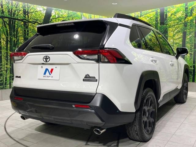 Toyota RAV4 2022-06 17209-17