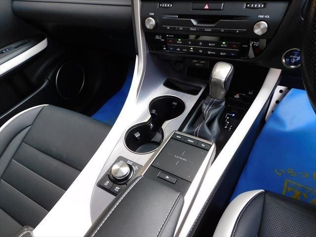 Lexus RX 2020-12 187587-22