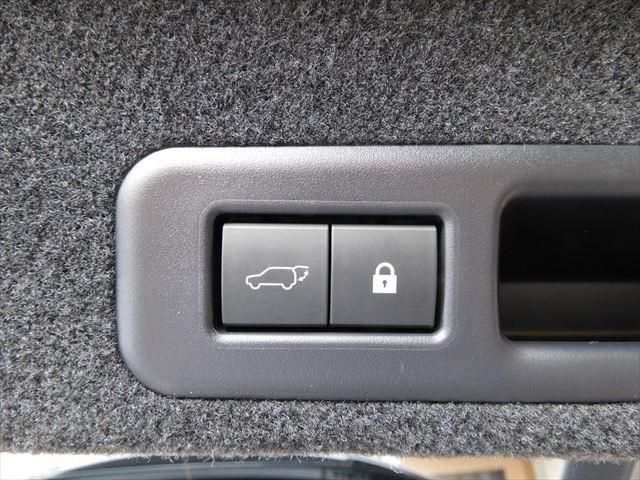 Lexus RX 2020-12 187587-18