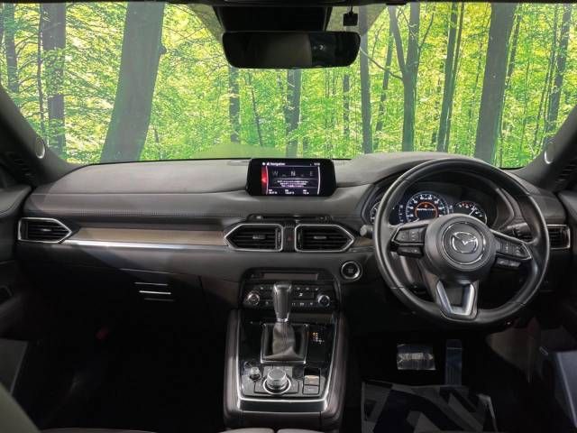 Mazda CX-8 2018-11 194463-1