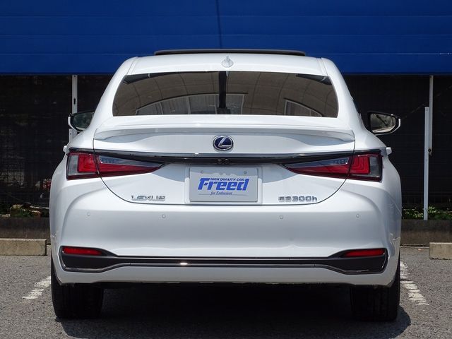 Lexus ES 2022-03 7254-11