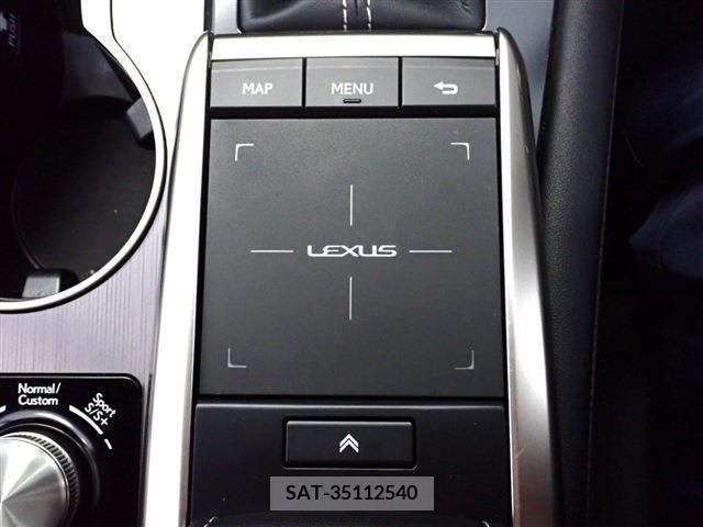 Lexus RX 2021-05 275791-19