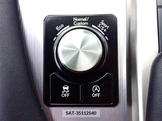 Lexus RX 2021-05 275791-18