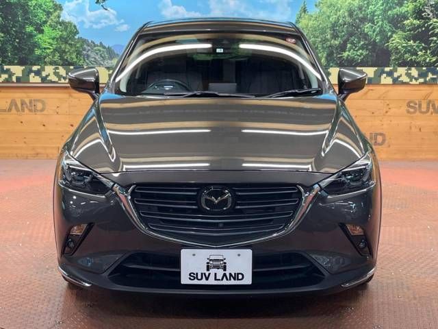 Mazda CX-3 2019-02 14206-14